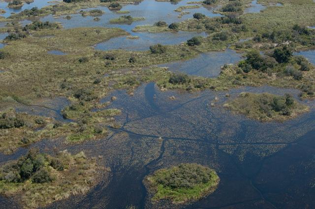 063 Okavango Delta.jpg